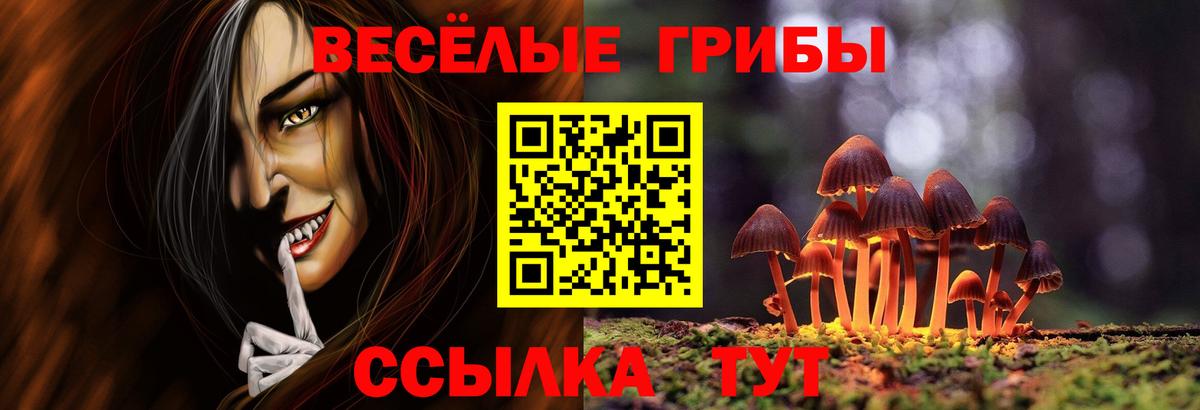 Псилоцибиновые грибы Magic Shrooms  Вход с VPN  Новосибирск 
